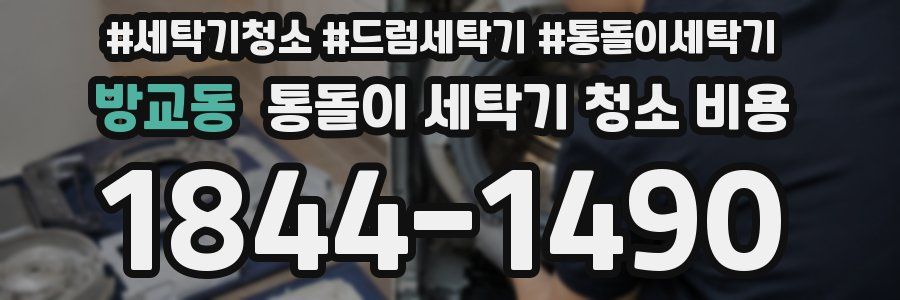 방교동 통돌이 세탁기 청소 비용