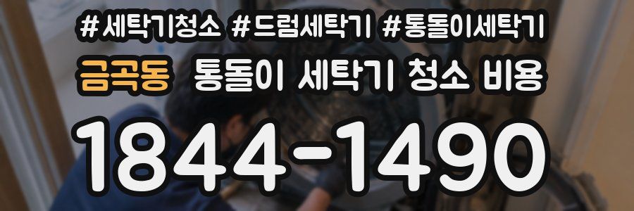 금곡동 통돌이 세탁기 청소 비용
