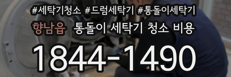 향남읍 통돌이 세탁기 청소 비용