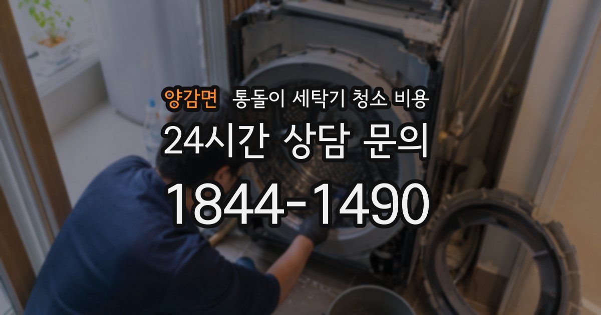 양감면 통돌이 세탁기 청소 비용