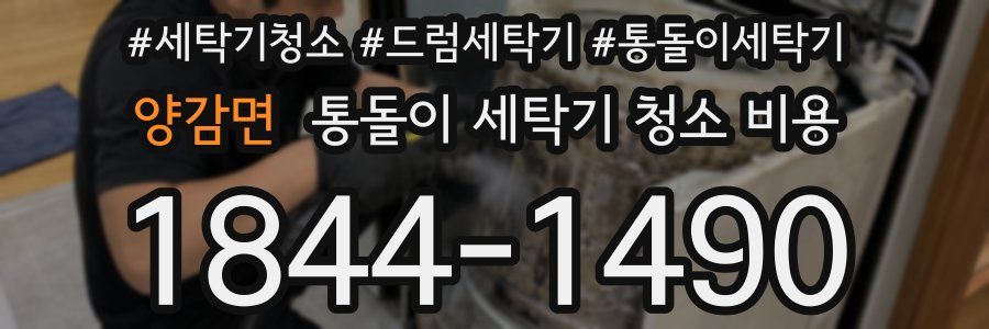 양감면 통돌이 세탁기 청소 비용