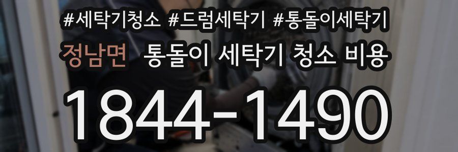 정남면 통돌이 세탁기 청소 비용