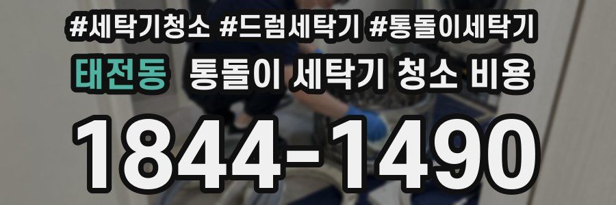 태전동 통돌이 세탁기 청소 비용
