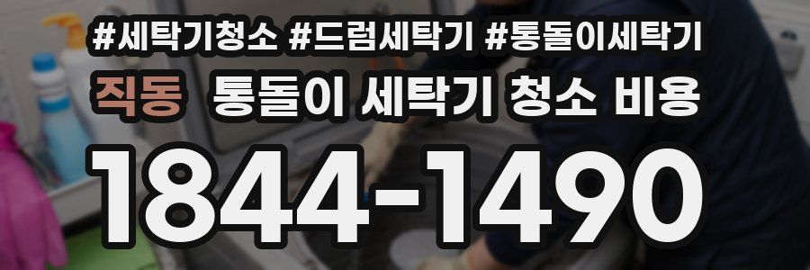 직동 통돌이 세탁기 청소 비용