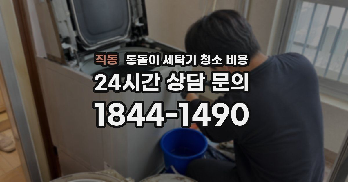 직동 통돌이 세탁기 청소 비용