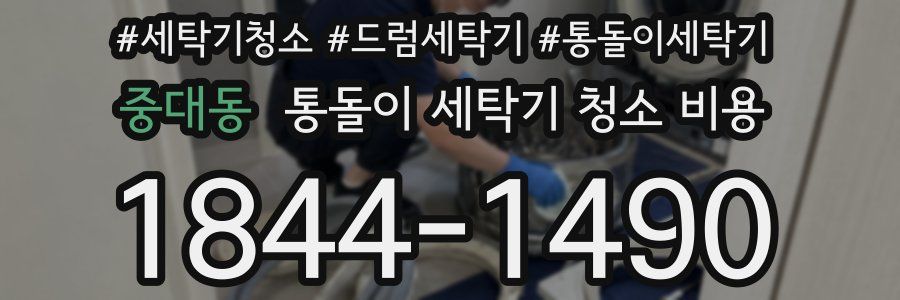 중대동 통돌이 세탁기 청소 비용