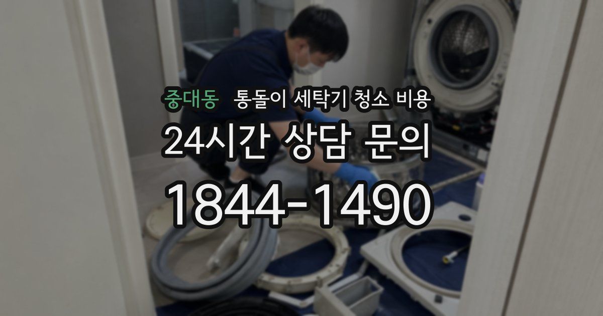 중대동 통돌이 세탁기 청소 비용