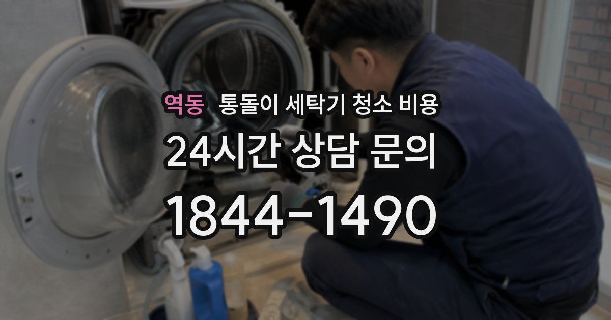 역동 통돌이 세탁기 청소 비용