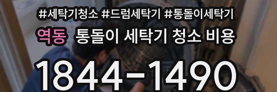 역동 통돌이 세탁기 청소 비용