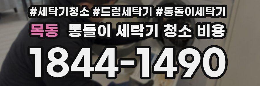 목동 통돌이 세탁기 청소 비용