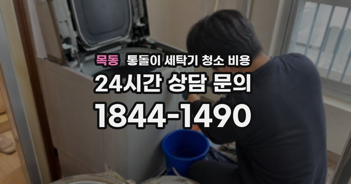 목동 통돌이 세탁기 청소 비용