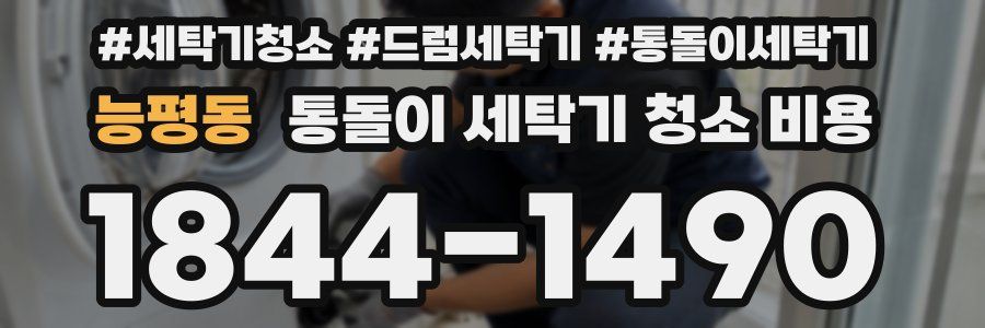 능평동 통돌이 세탁기 청소 비용