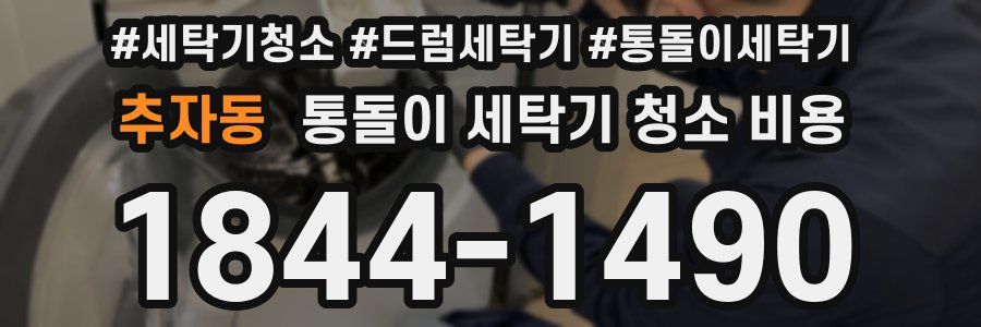 추자동 통돌이 세탁기 청소 비용
