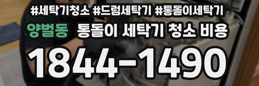 양벌동 통돌이 세탁기 청소 비용