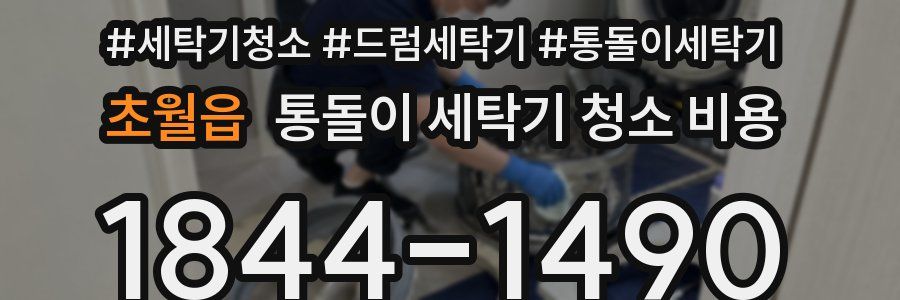 초월읍 통돌이 세탁기 청소 비용