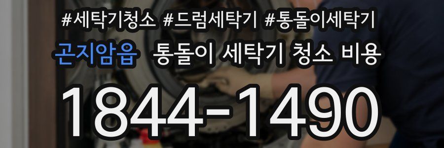 곤지암읍 통돌이 세탁기 청소 비용