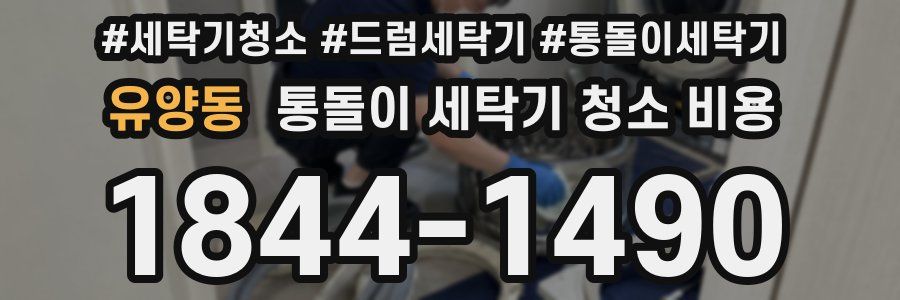 유양동 통돌이 세탁기 청소 비용