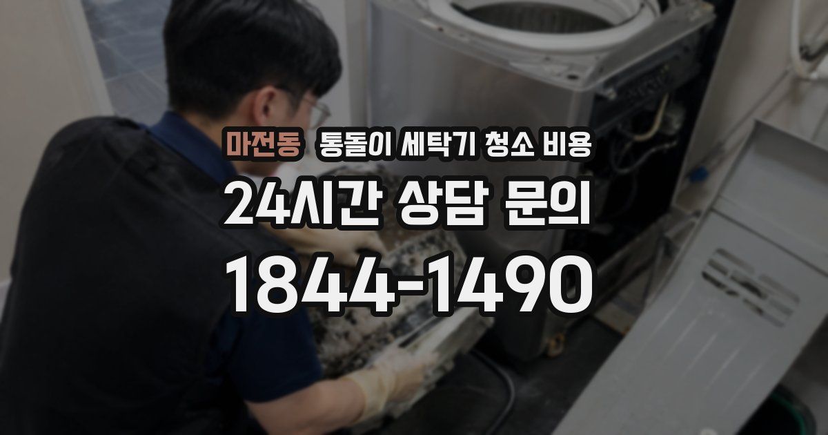 마전동 통돌이 세탁기 청소 비용