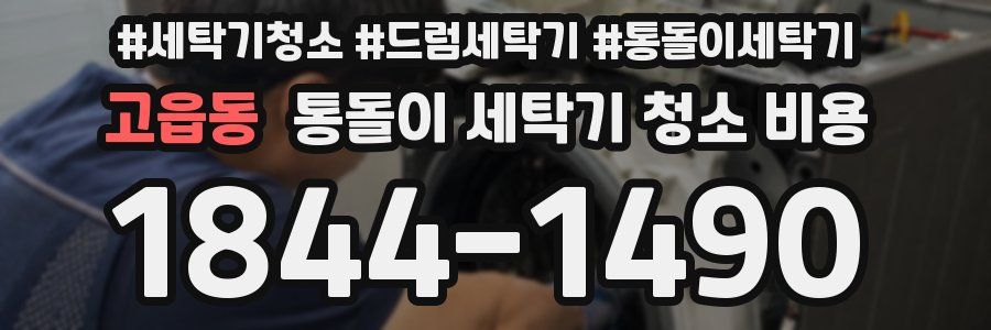 고읍동 통돌이 세탁기 청소 비용