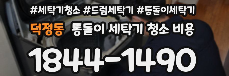 덕정동 통돌이 세탁기 청소 비용