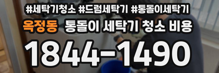 옥정동 통돌이 세탁기 청소 비용