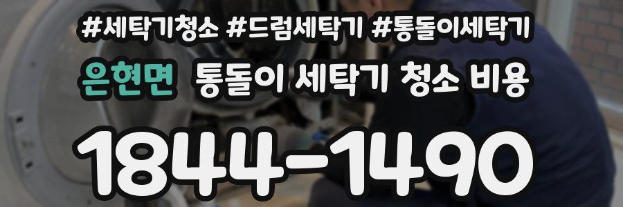 은현면 통돌이 세탁기 청소 비용