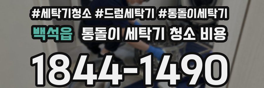 백석읍 통돌이 세탁기 청소 비용