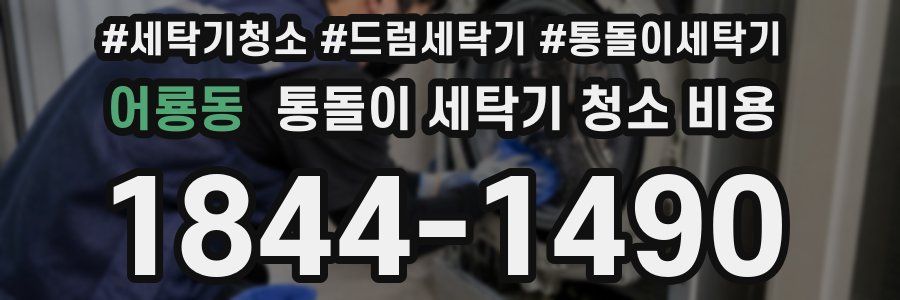 어룡동 통돌이 세탁기 청소 비용