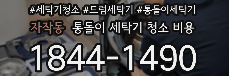 자작동 통돌이 세탁기 청소 비용