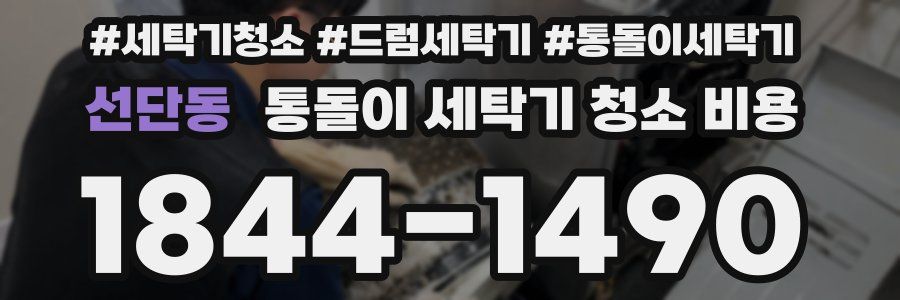 선단동 통돌이 세탁기 청소 비용