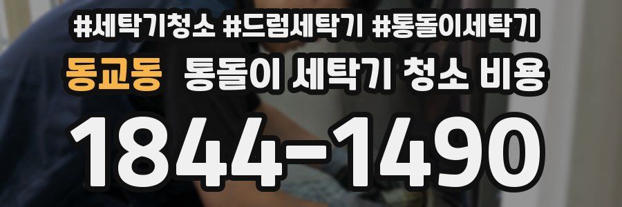 동교동 통돌이 세탁기 청소 비용
