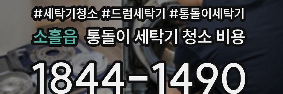 소흘읍 통돌이 세탁기 청소 비용