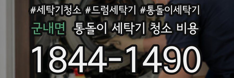 군내면 통돌이 세탁기 청소 비용