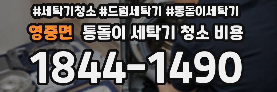 영중면 통돌이 세탁기 청소 비용