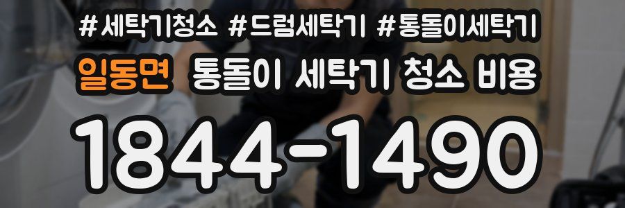일동면 통돌이 세탁기 청소 비용