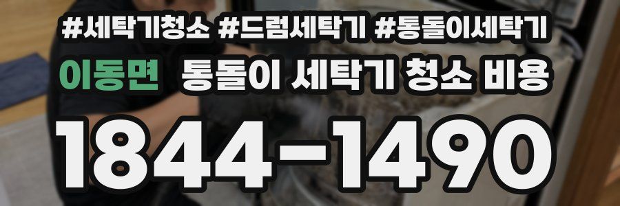 이동면 통돌이 세탁기 청소 비용