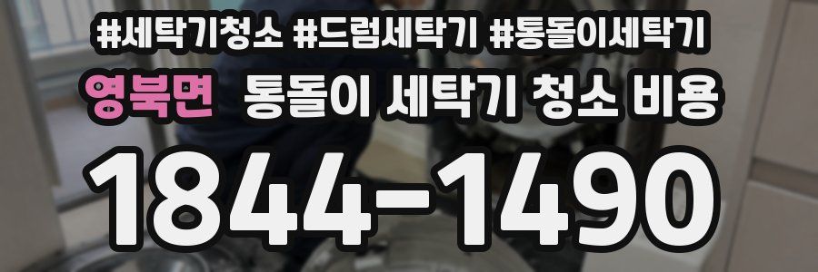 영북면 통돌이 세탁기 청소 비용