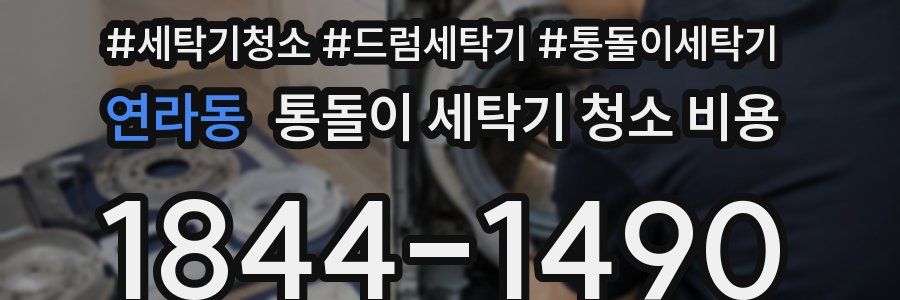 연라동 통돌이 세탁기 청소 비용