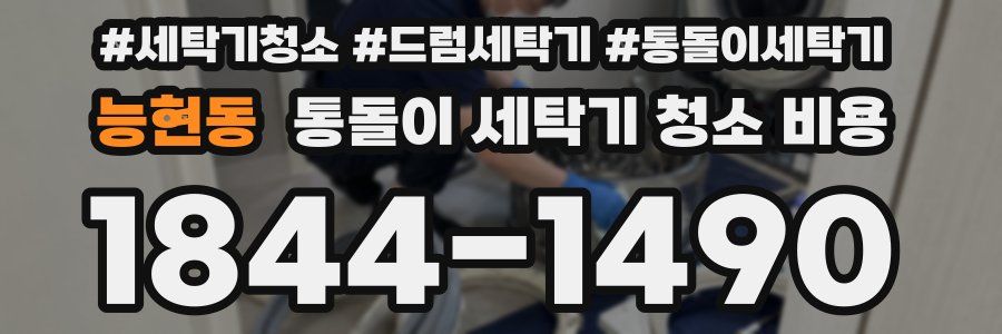 능현동 통돌이 세탁기 청소 비용