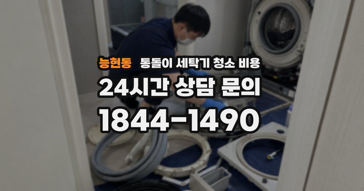 능현동 통돌이 세탁기 청소 비용