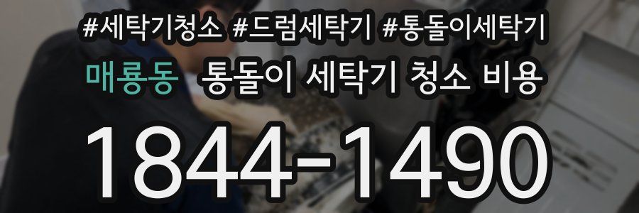 매룡동 통돌이 세탁기 청소 비용