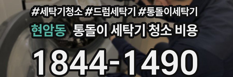 현암동 통돌이 세탁기 청소 비용