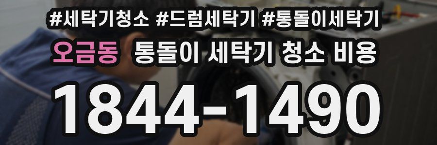 오금동 통돌이 세탁기 청소 비용