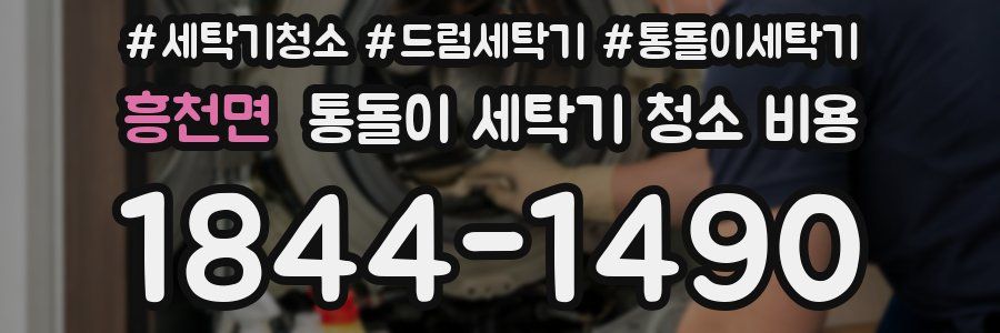 흥천면 통돌이 세탁기 청소 비용
