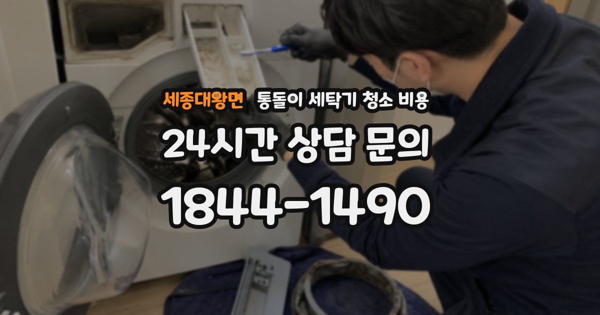 세종대왕면 통돌이 세탁기 청소 비용