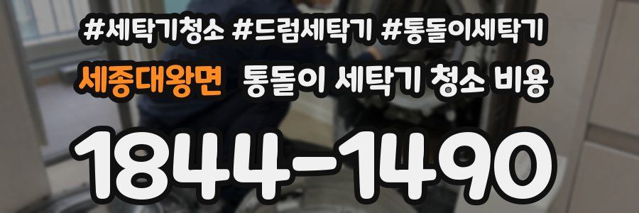 세종대왕면 통돌이 세탁기 청소 비용