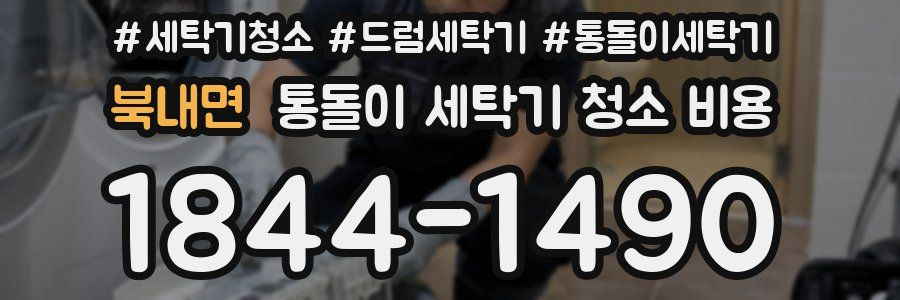 북내면 통돌이 세탁기 청소 비용