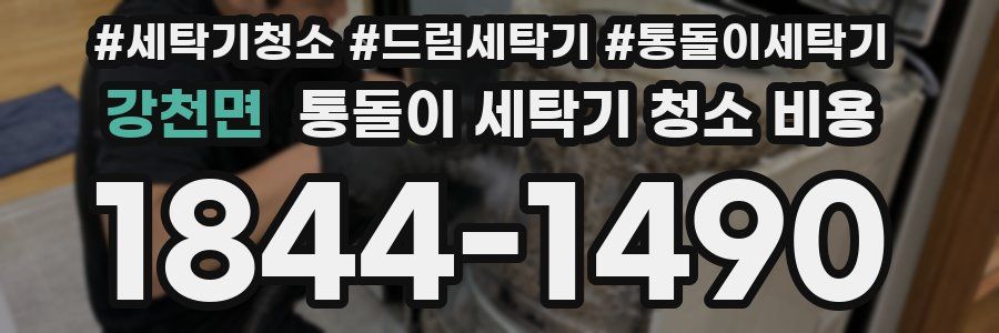 강천면 통돌이 세탁기 청소 비용