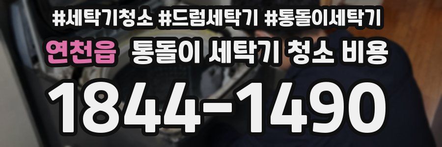 연천읍 통돌이 세탁기 청소 비용