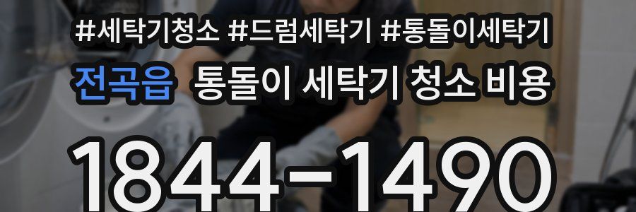 전곡읍 통돌이 세탁기 청소 비용